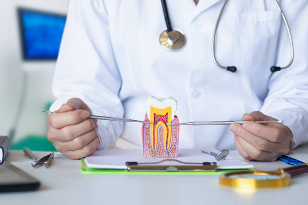 Best Emergency Dental Care for Broken or Chipped Teeth in Skiato, OK
